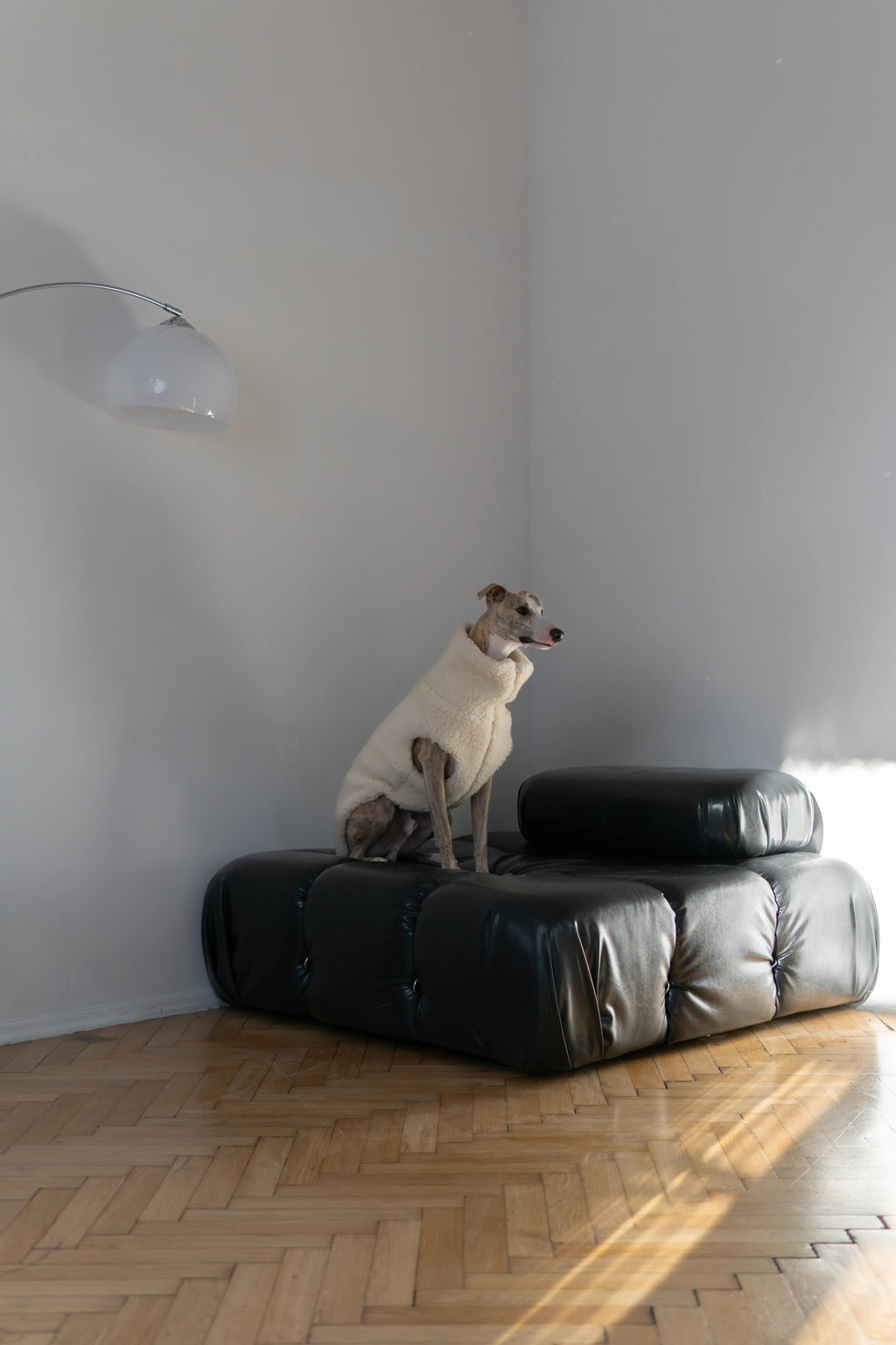 Hundeweste aus Wolle – Weiß