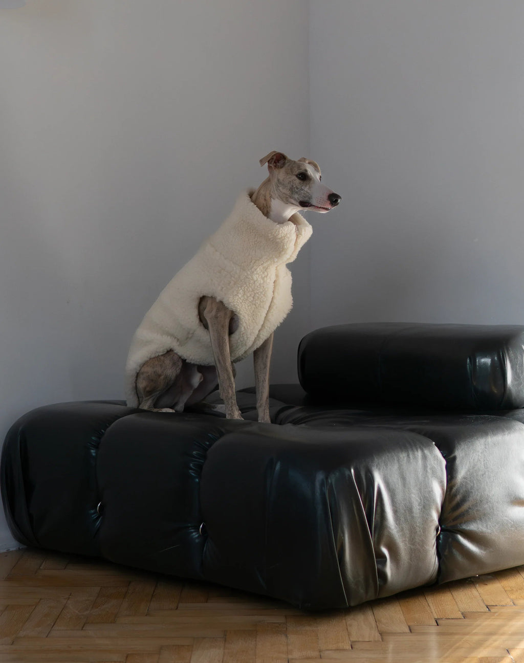 Hundeweste aus Wolle – Weiß