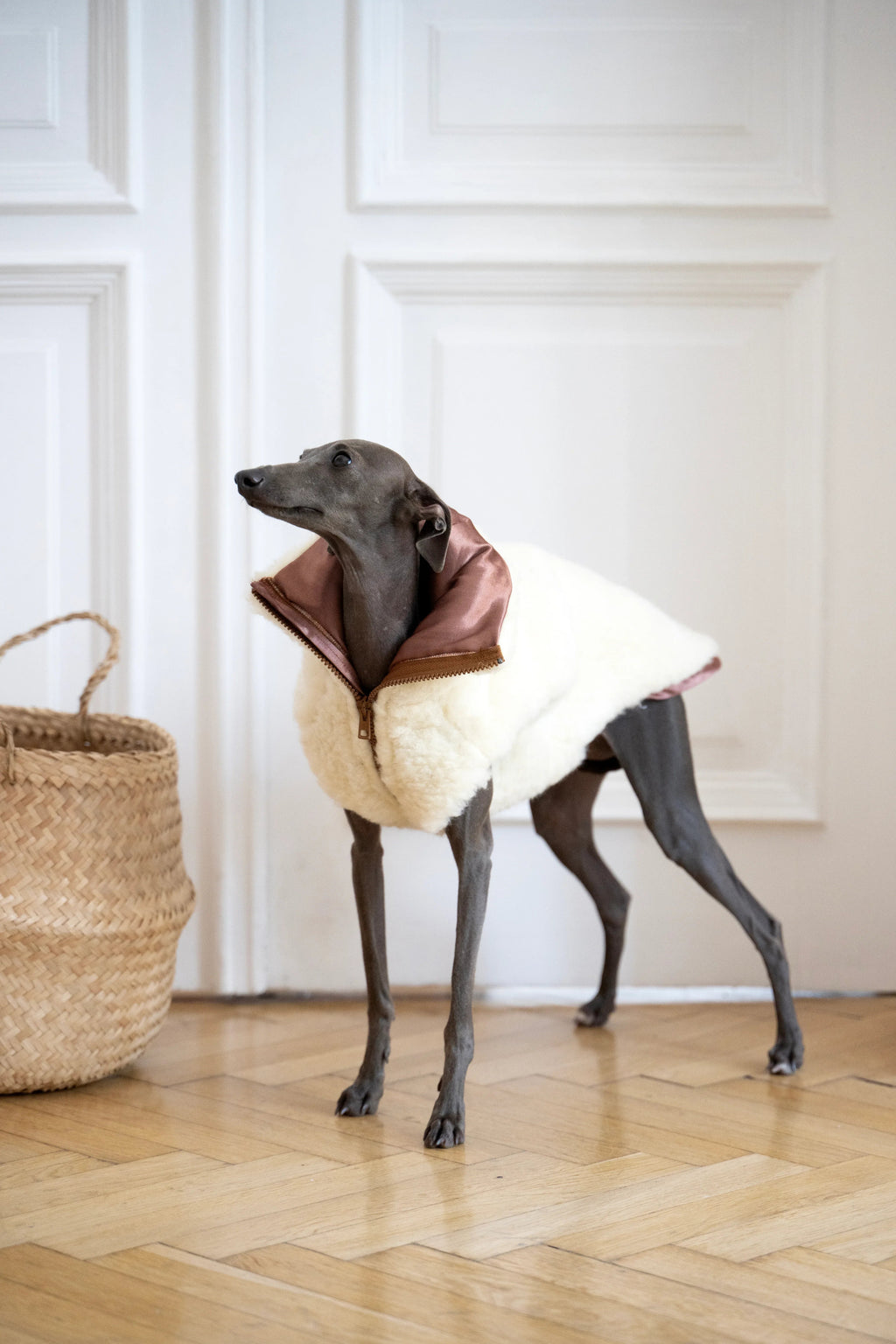 Hundeweste aus Wolle – Weiß